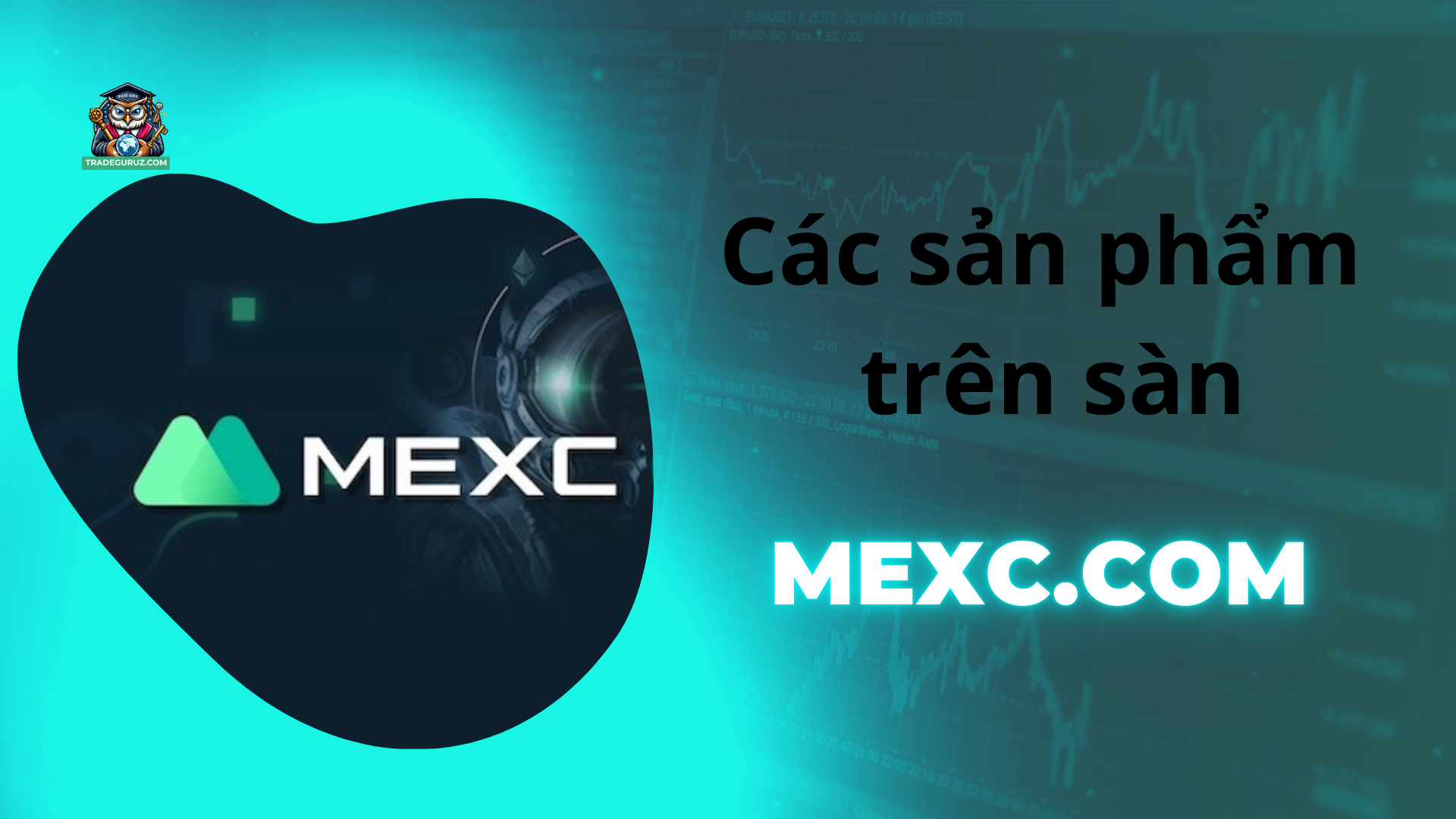 Trên sàn Mexc có 2 loại giao dịch chính là Futures và Spot